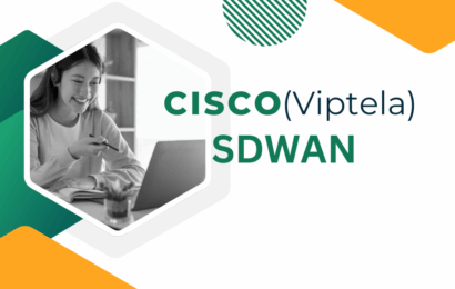 Cisco SDWAN Training