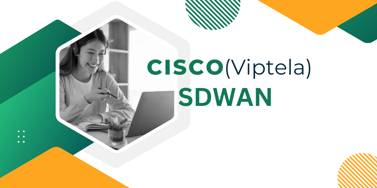Cisco SDWAN Training